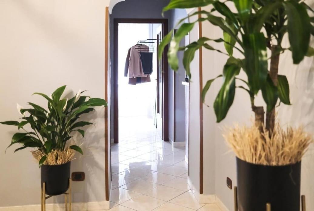 Triple Centro Storico Da Peppe Apartment